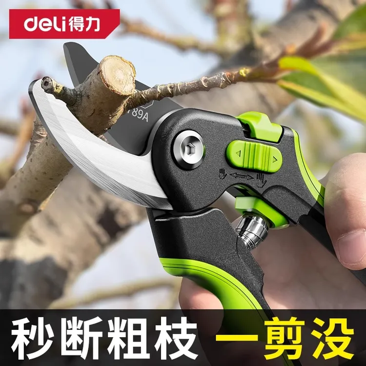 得力剪枝剪刀园林花艺修剪树枝剪刀果树剪刀粗大花剪园艺剪子工具