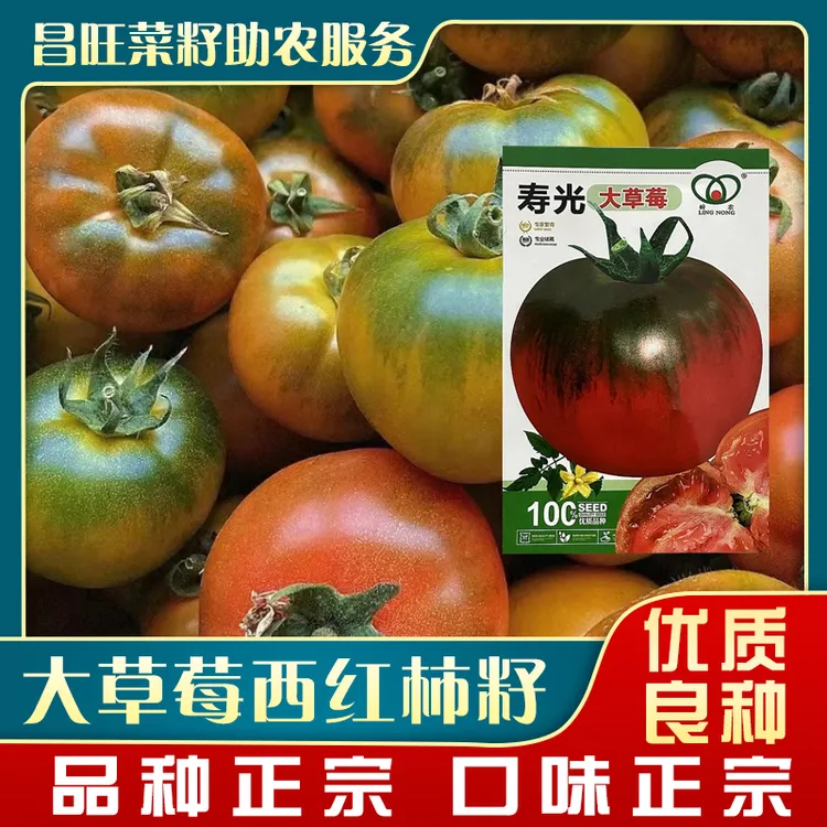 寿光大草莓柿子种子酸甜口感番茄籽80粒左右（多种优惠搭配可选）