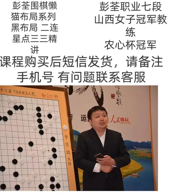 彭荃 黑布局 二连星点三三双方攻防 懒猫围棋布局精解