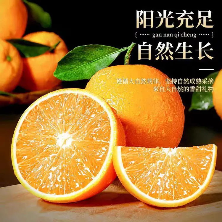 赣南脐橙正宗江西赣南脐橙高山甜橙子新鲜采摘产地直发香甜多汁