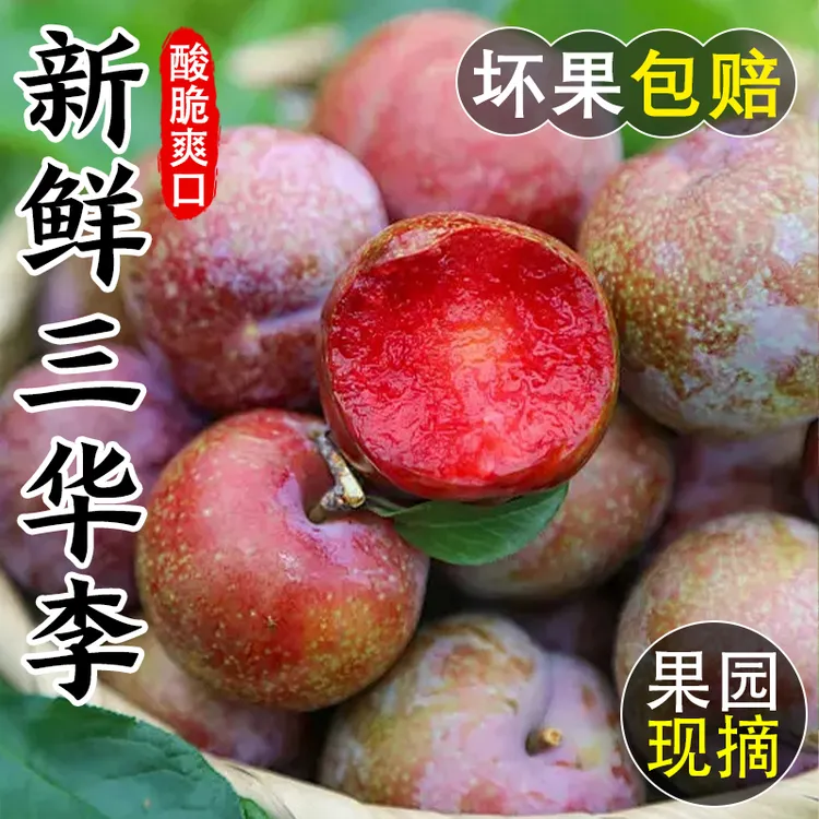 新鲜三华李采摘红心正宗酸脆爽口多汁应季大水果孕妇优选整箱批发