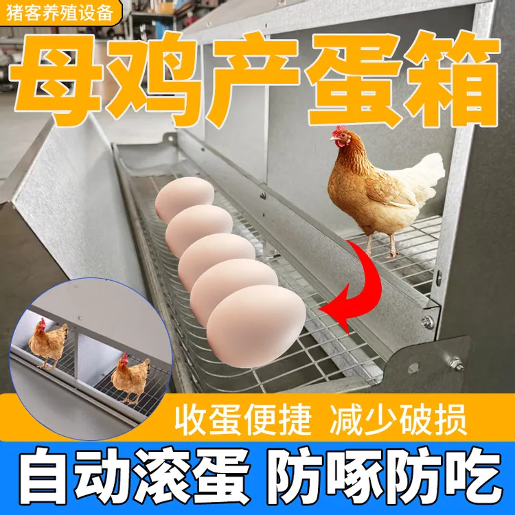 母鸡产蛋箱防啄自动收蛋滚蛋防雨散养母鸡生蛋产蛋自动滚蛋产蛋箱