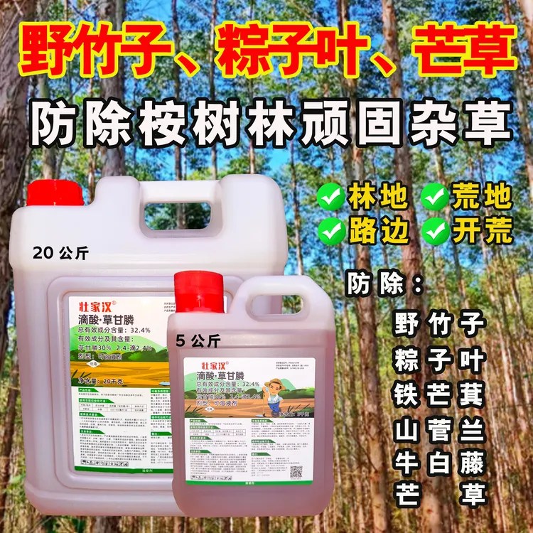 壮家汉防除林地顽固杂草牛白藤野竹子粽子叶山菅兰铁芒萁除草剂