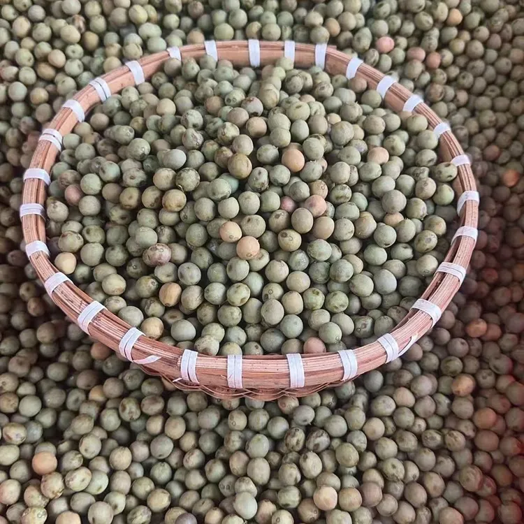 新鲜带壳鸡头果大果打磨500g