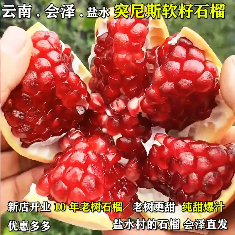 云南会泽盐水突尼斯软籽石榴新鲜采摘秋季水果爆汁甜超大果3-10斤