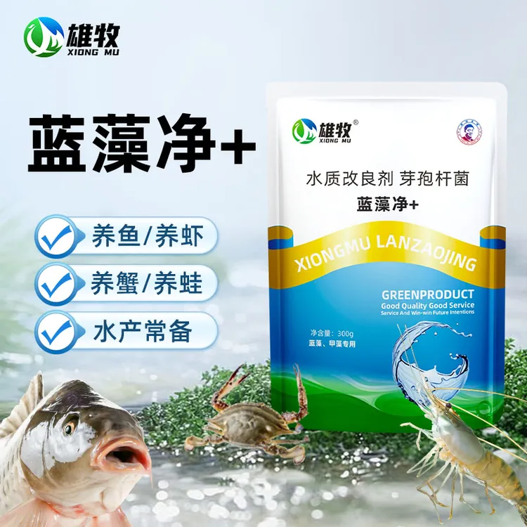 【雄牧】蓝藻净+300g蓝藻甲藻使用池塘养殖鱼虾蟹水产专用厂家直销