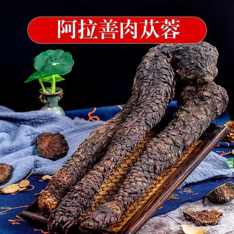 内蒙古阿拉善荒漠肉苁蓉沙漠大芸整根正品可切片泡酒泡水