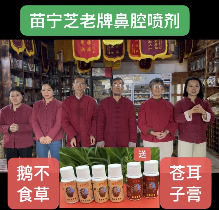 苗宁芝品牌鼻喷剂：鹅不食草、辛夷花、细辛、金银花、连翘、竹叶、薄荷