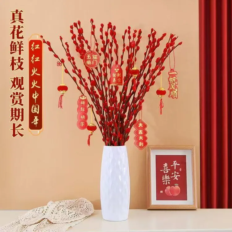 红色银柳鲜切枝干花年宵花卉用于客厅装饰摆件节日气氛