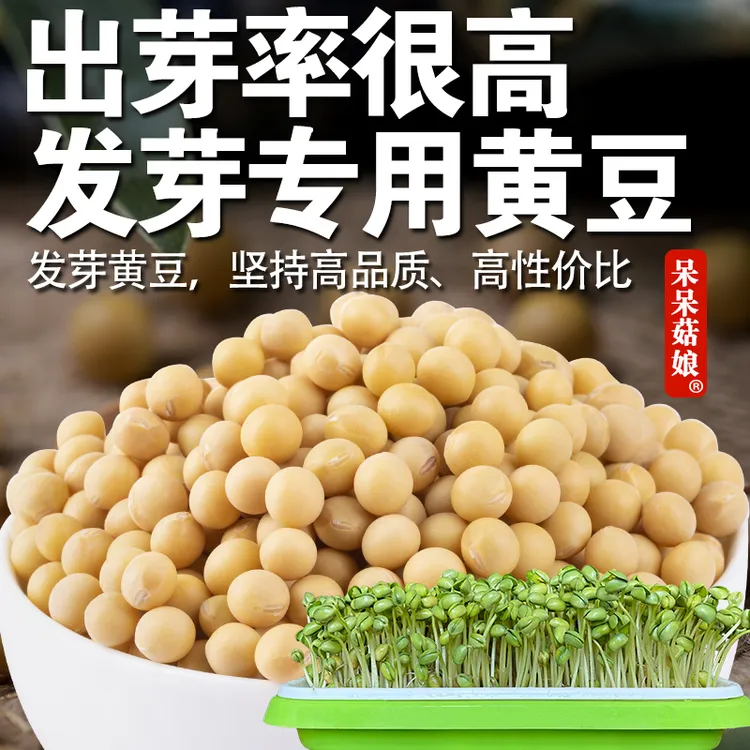 【出芽率很高】生豆芽专用黄豆黑豆绿豆芽豆发芽大豆家庭水培蔬菜