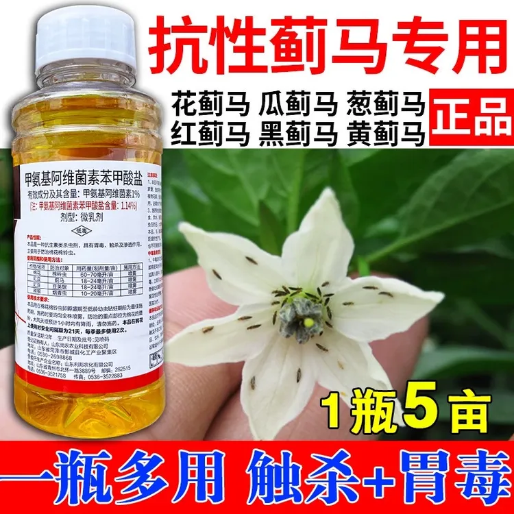 抗性蓟马甲氨基阿维菌素苯甲酸盐棉花辣椒棉铃虫烟青虫蓟马杀虫剂