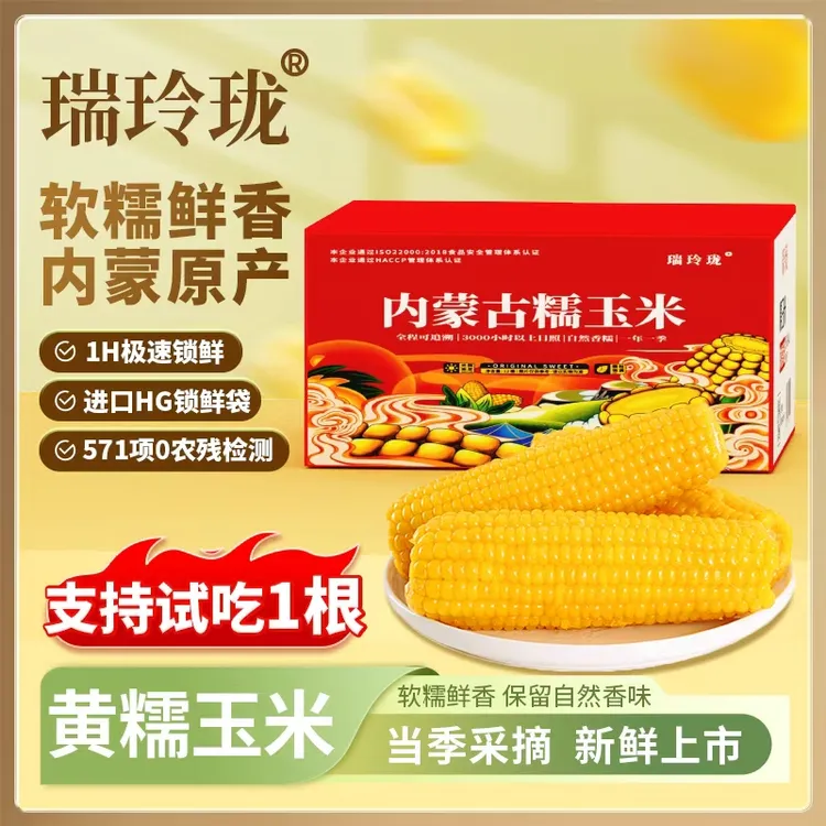 黄糯玉米10根 200g 内蒙古玉米新鲜拉丝黄糯玉米 低脂营养