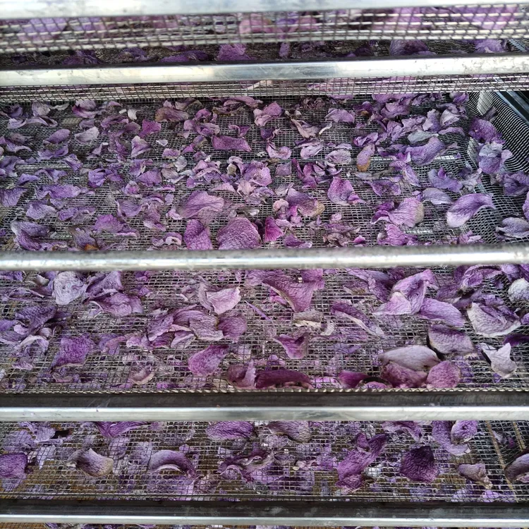 天根干片天根梨汤原料手工晒干古天根无添加煲汤煲粥煮水