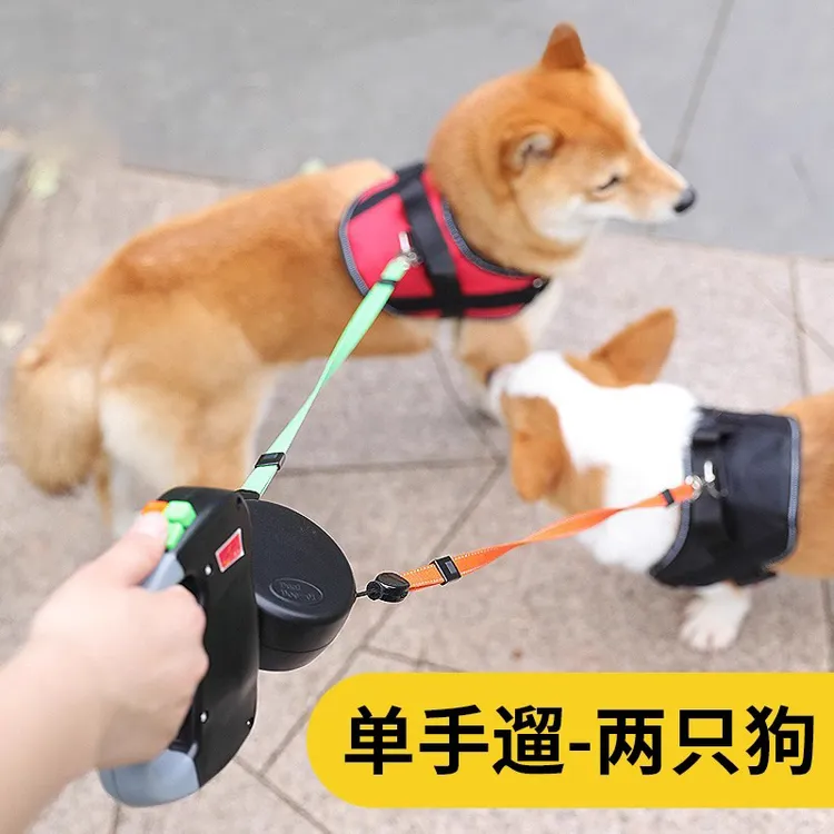 一拖二狗狗牵引绳自动伸缩防缠绕双头遛狗绳两只狗牵引绳中小型犬