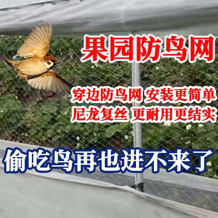【复丝穿边】草莓大棚通风口防鸟网葡萄天沟网四周围边围网穿引线