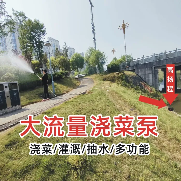 大流量自吸泵充电式抽水泵电动水泵农用浇水机灌溉神器