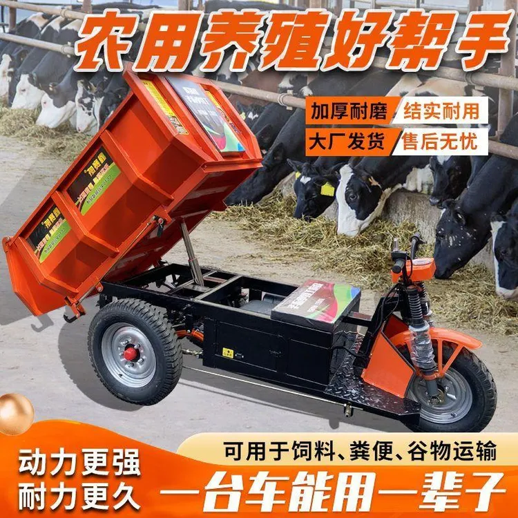 拉货拉粪电动三轮车自卸液压拉沙子混凝土翻斗自卸工程车灰斗车