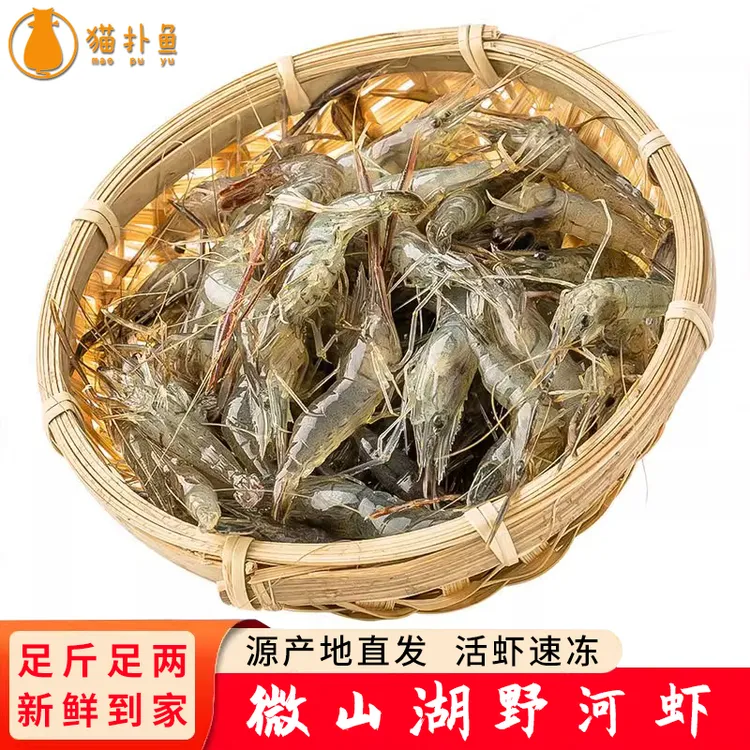 猫扑鱼微山湖新鲜野河虾鲜活活虾速冻五节腿大青虾湖虾籽母虾