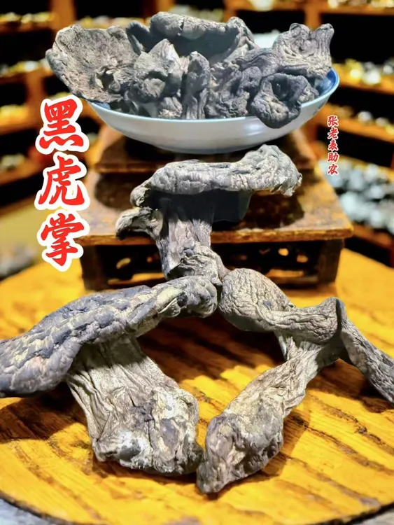云南野生黑虎掌菌菌干 大孢地花菌菌干