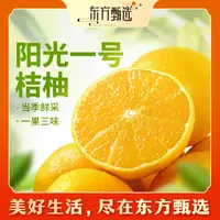 东方甄选自营阳光1号桔柚皮薄多汁柑橘新鲜水果农产品坏果包赔