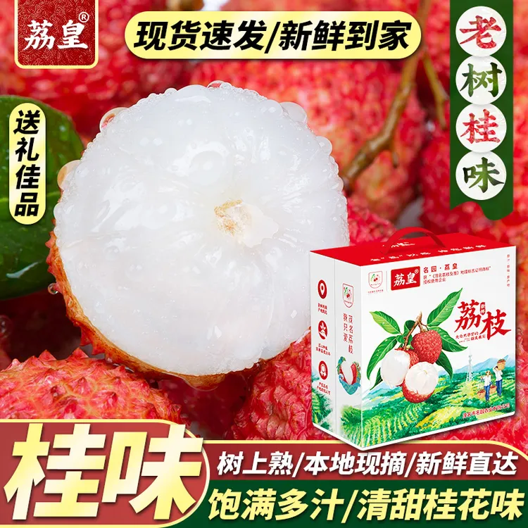 【荔皇】广东茂名桂味荔枝4.5斤手提礼盒果园新鲜现摘香甜水果顺丰
