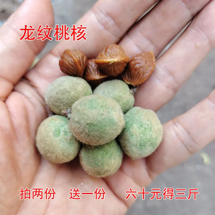 龙纹桃核手串原料散籽已脱皮一份一斤