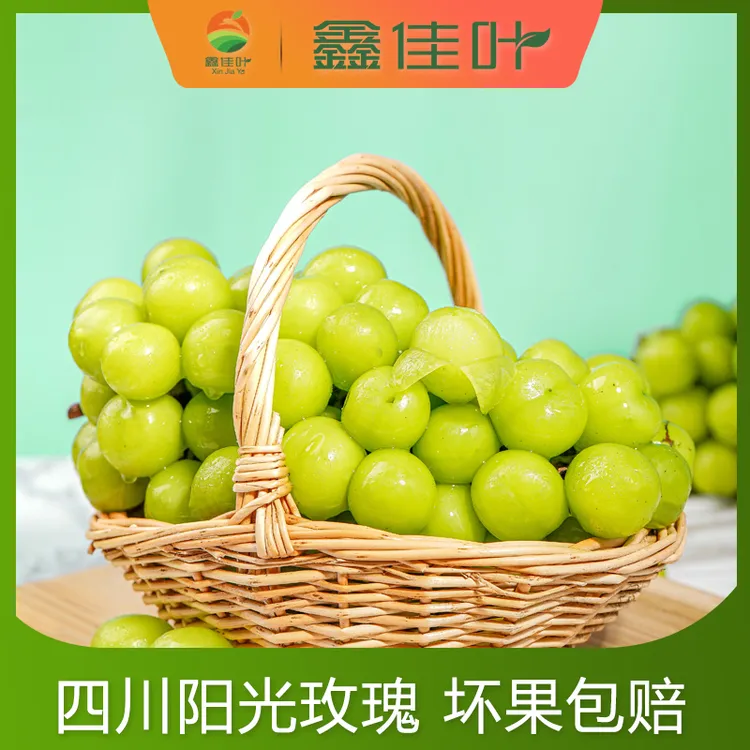 【顺丰】【鑫佳叶】四川西昌大凉山阳光玫瑰葡萄晴王香印青提2/3斤