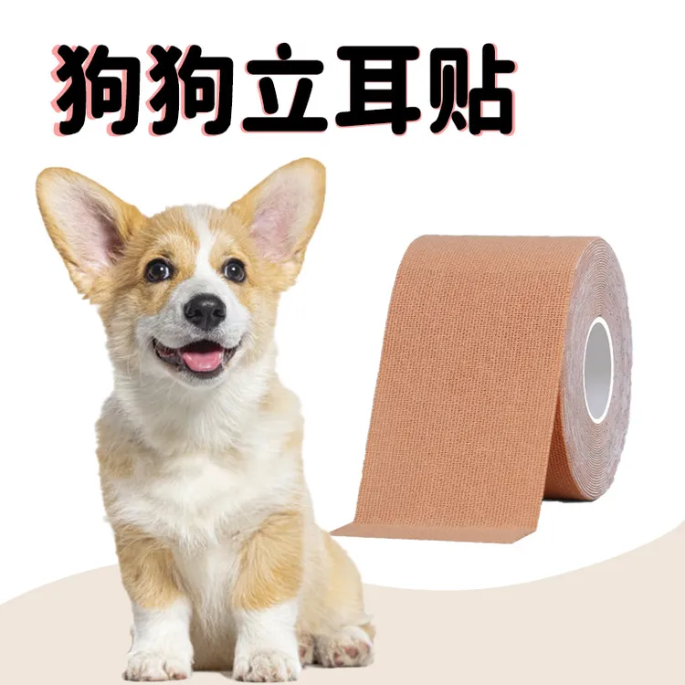 柯基狗狗立耳贴雪纳瑞小狗耳朵辅助立耳神器幼犬矫正竖耳器固定器