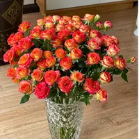 鲜花【多头爱丽丝10支】同地址两单以上顺丰包邮送货上门+送配草1扎