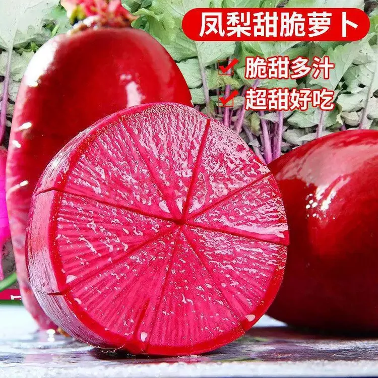 凤梨萝卜种子甜脆水果红皮红心萝卜籽阳台盆菜种子