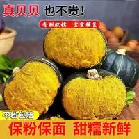 【新疆直发】板栗贝贝南瓜小南瓜