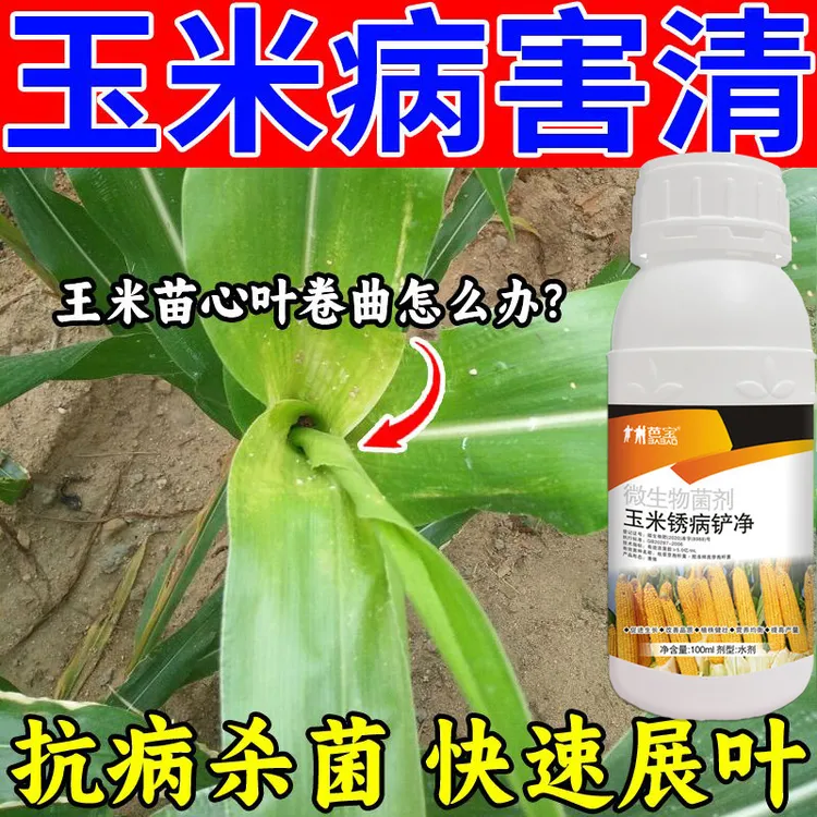 玉米病菌清微生物菌剂玉米专用杀菌剂玉米病全管锈病黑穗叶斑茎腐