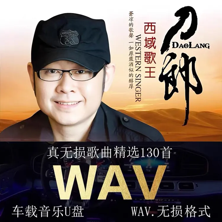 刀郎2024新款汽车载U盘USB音乐无损WAV双格式歌曲山歌寥哉mp3优盘