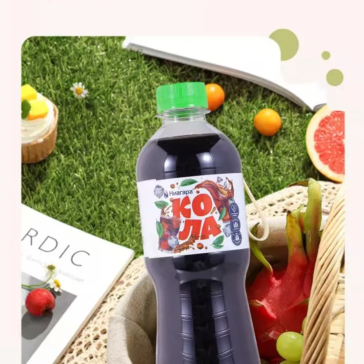 俄罗斯进口饮料汽水橙子龙蒿草可乐柠檬味碳酸饮料460ml夏季饮