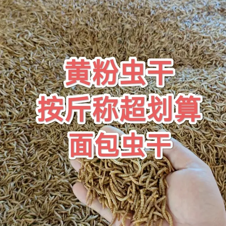 面包虫干黄粉虫干仓鼠零食鸟鹦鹉芦丁鸡龟粮鱼粮高蛋白饲料