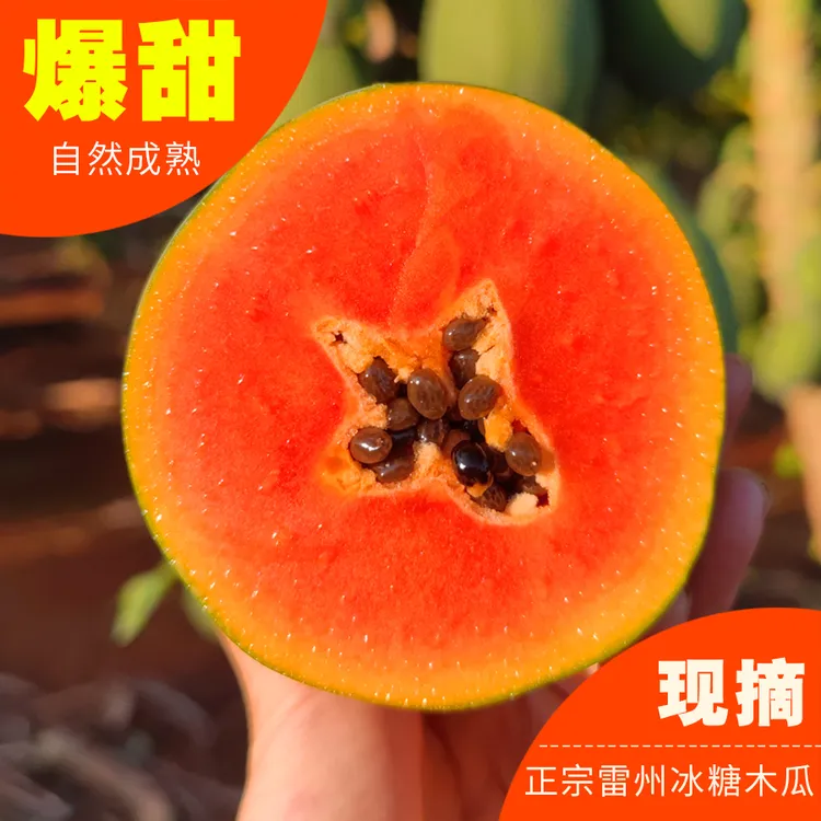 雷州木瓜新鲜下奶水果红心牛奶当季应季孕妇青冰糖树上自然熟包邮