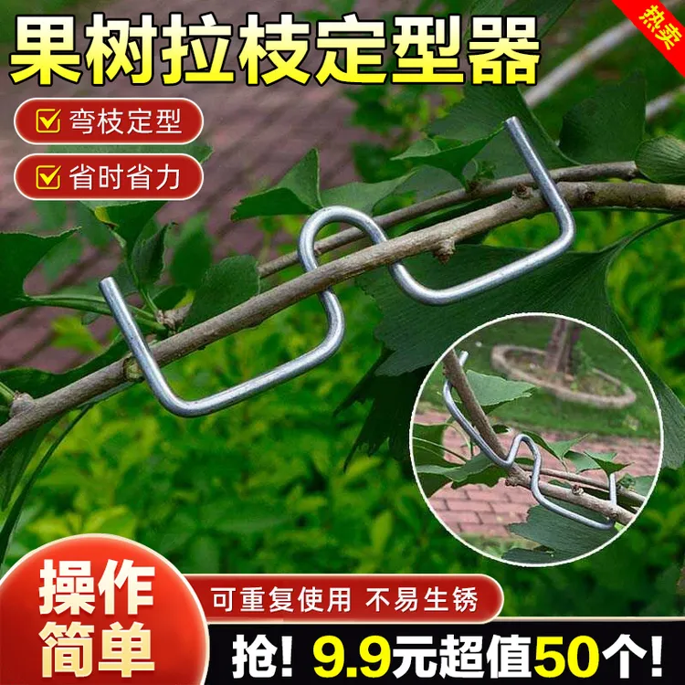 果树拉枝神器m型拉枝器别枝器拉枝器压枝弯枝定型拉树枝神器商品图