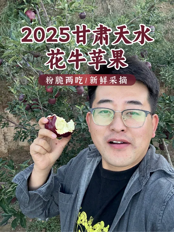 2025年甘肃天水花牛苹果新鲜采摘 果园直发 脆粉两吃 香甜可口 