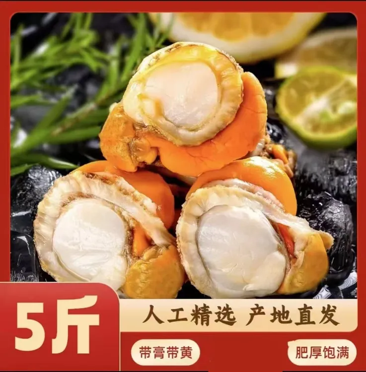 40-60无冰衣5斤扇贝肉 带黄带膏 去壳无沙