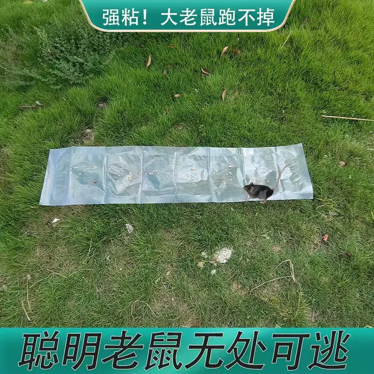 隐形强力粘鼠板毯抓老鼠贴黏板胶灭鼠家用克星一窝端捕鼠神器加厚