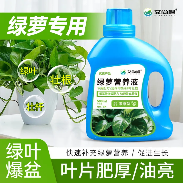 【绿萝专用营养液】水培绿萝大容量浓缩型水培植物专用花卉肥500ml
