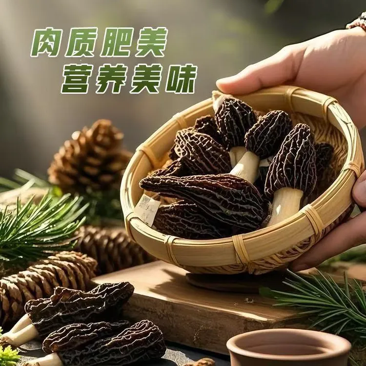 高山羊肚菌干货 5-8cm 肉质饱满煲汤佳品