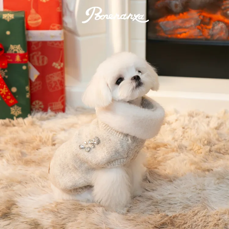 Bonenanza | Besides the Stove 炉边暖契宠物毛衣