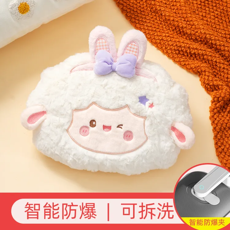 【国标防爆】防爆充电式热水袋可拆洗可爱女生毛绒暖手宝暖宝宝热敷
