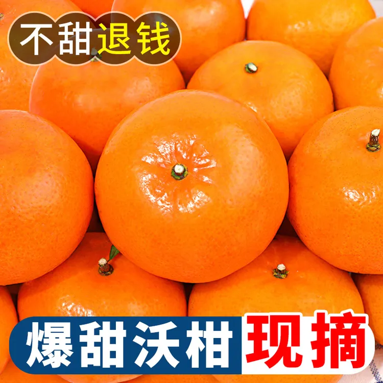 正宗云南爆甜沃柑橘子新鲜应当季孕妇水果薄皮蜜桔子非广西武鸣县