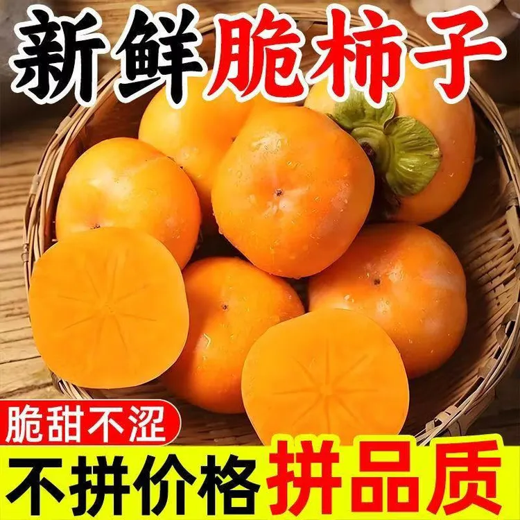 1正宗巧克力脆柿子新鲜水果当季甜脆硬柿子