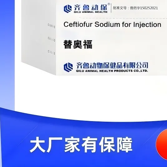 山东齐鲁替奥福头包