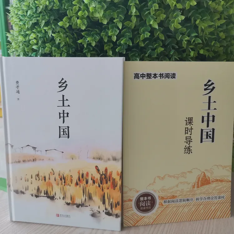 《乡土中国》 费孝通著 (赠送整本书阅读课时导练)
