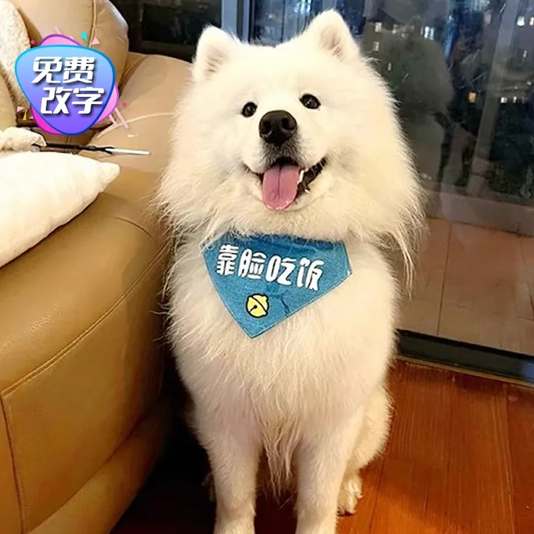 【福利】靠脸吃饭1到99斤猫狗三角巾可以印自家宠物名字 萨摩口水巾
