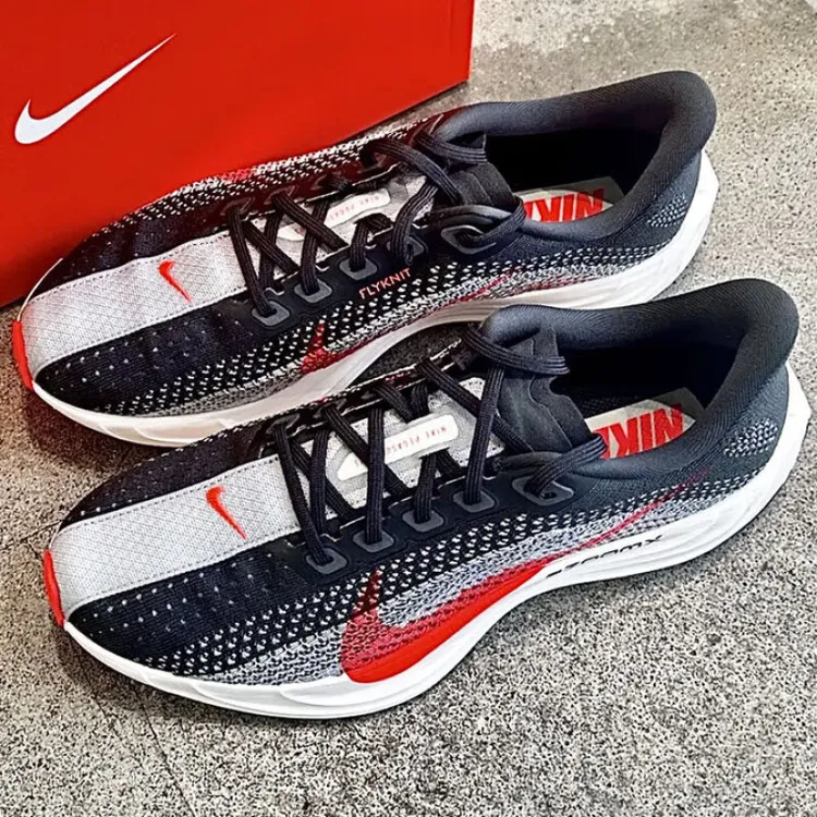 NIKE/耐克男鞋25春新款PEGASUS PLUS飞马运动鞋低帮轻便跑步鞋